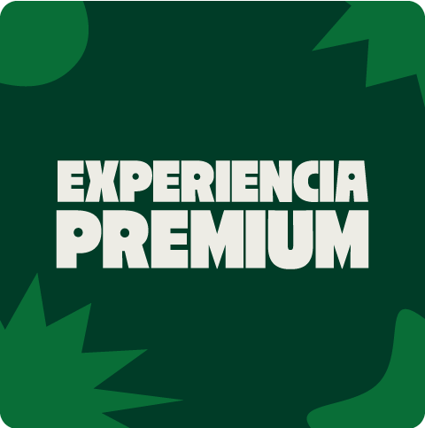 Imagen de la Experiencia Premium Parque de la Costa